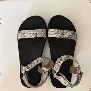 Able Black and Gray Snakeskin Sandals